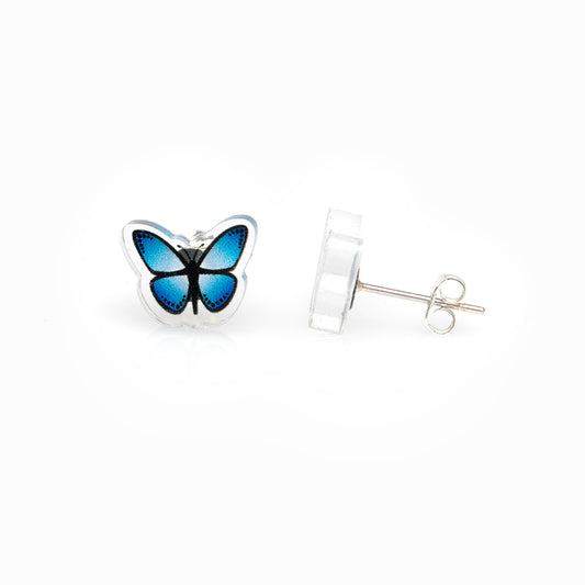 Butterfly Stud Earrings