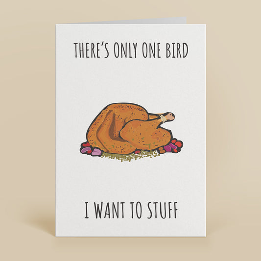 Stuffed Bird Christmas Greetings Card